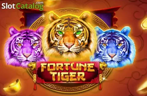 Competitive multiplayer patang kite battle scene
